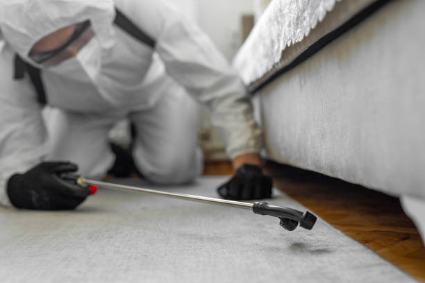 Professional Bed Bug Control technician working in Goliad, TX