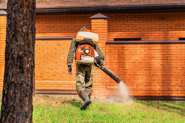 Trusted Cockroach Control service in Goliad, TX - Nex Pest Control
